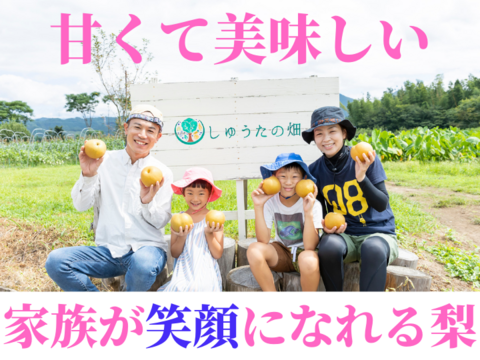 「あきづき」６～７玉【高級梨】希少！爽やかでスッキリとした上品な甘さ、あきづき　9月中旬頃～発送