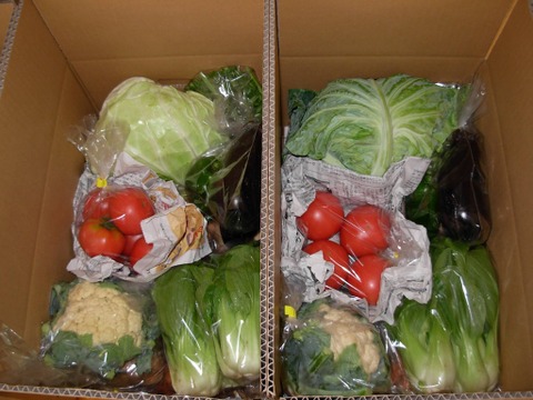 旬野菜Ｓサイズ【7～9品目少量パック】生命力溢れる野菜詰め合わせ＊農薬·化学肥料·除草剤不使用《1日5セット定期便限定》