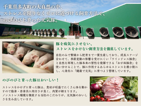 じっくりと12日間熟成させてお肉の旨味を引き出した後、丁寧にスモークをかけた「元気豚 ベーコン（スライス）」200g
