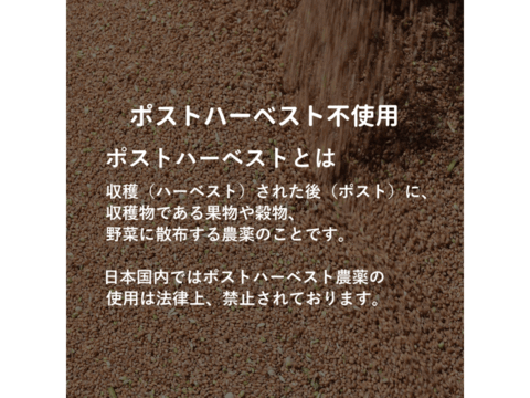 【栽培期間中農薬不散布】ふすま粉 あらい 10kg 2kg×5 栄養価が高い小麦ブラン 日本の小麦 国産小麦 小麦ふすま