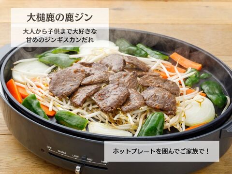 【父の日ギフト】鹿餃子＆選べる味付鹿肉セット/指定日配送可能【メッセージカード付き】