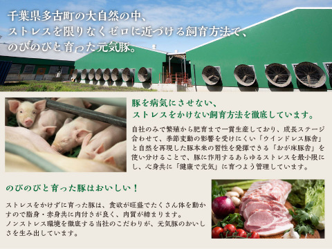 粗挽きハーブフランクのタネをハンバーグ風に！「元気豚  フランクバーグ　100ｇ」