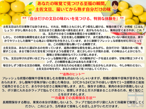 【日本ギフト大賞受賞】【在庫僅少特価品】園主こだわり土佐文旦 訳あり 3kg  小玉（L～M）　　　　土佐文旦 ぶんたん ブンタン 高知  みかん 国産みかん 果物 柑橘