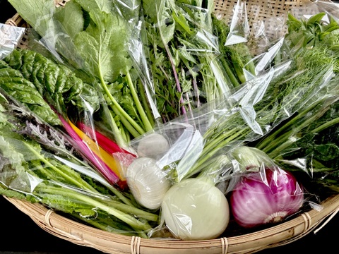 Sサイズ [信州産] 春野菜の玉手箱