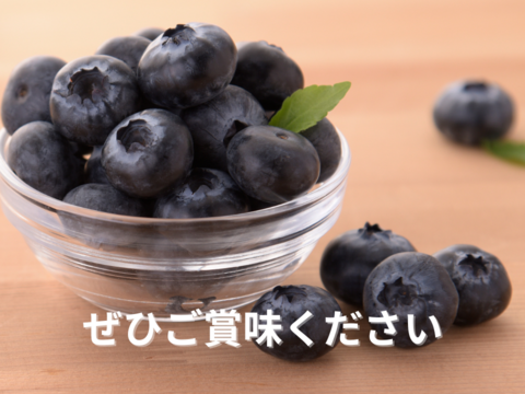 ちょっとした贅沢に！果実とジャムの特別なトヨヒルセット【A】生ブルーベリー 100g×2pc、ブルーベリースプレッド 120g×1個