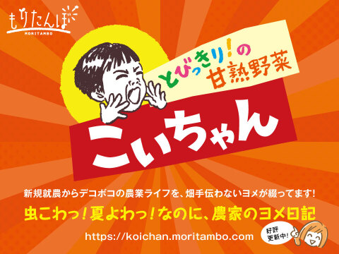 【お得なセット！】とびっきりの甘みとうまみ！濃厚なにんじん「こいちゃん」（訳あり！加工用約3kg）とにんじん葉塩（7g）1個