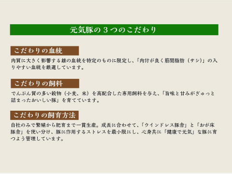 じっくりと12日間熟成させてお肉の旨味を引き出した後、丁寧にスモークをかけた「元気豚 ベーコン（スライス）」200g