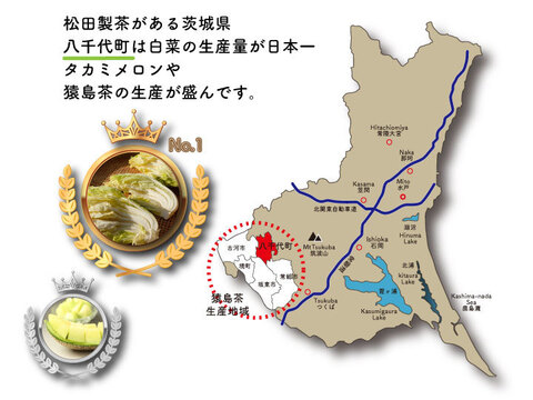【コスパ最強】猿島茶ティーバッグ／5g×50  実質送料無料 定番人気 お茶 お徳用 水出し お湯出し 猿島茶 さしま茶  日本茶インストラクター監修 クリックポスト 冷茶 TBG-051