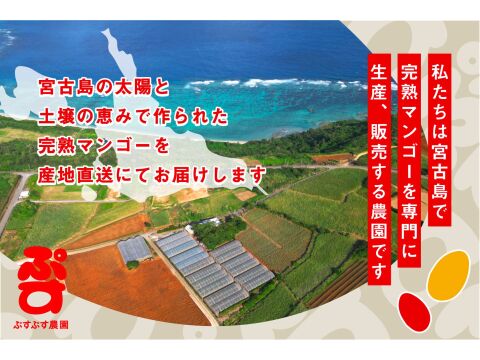 ぷすぷすプレミアムマンゴー2キロ（4～5玉）