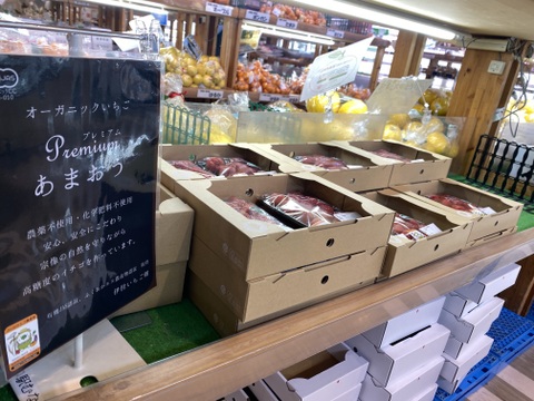 (まとめ買い用)オーガニックあまおう　200gパック　※ヤマト80サイズで発送します※