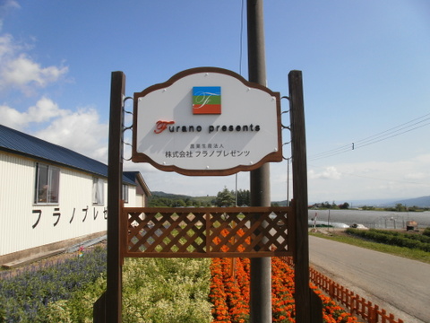 ●●●　富良野産　赤肉メロン　2玉入り　●●●　1.8㎏以上  糖度16度以上！！特大！