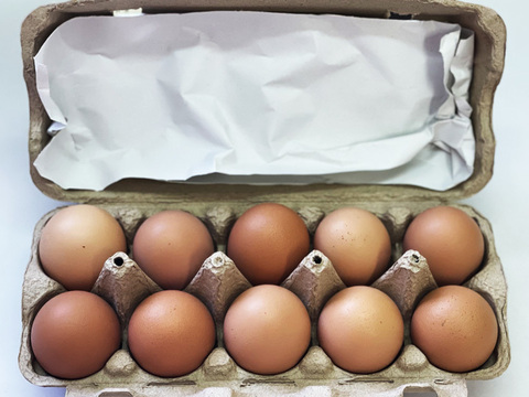 【お塩で食べられる🐣🍚卵かけご飯】山もりたまご【40個入】白身の甘みを味わってみませんか？