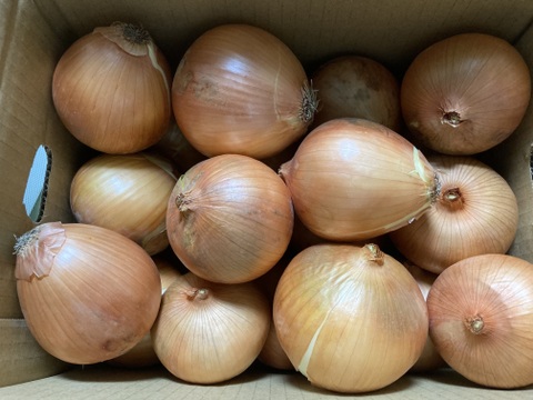 【お陰様でリピーター様多数！】淡路島玉ねぎ「中生種」５kg　特別栽培　ひょうご安心ブランド認証取得
