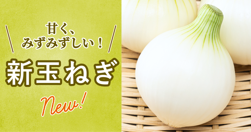 新玉ねぎ